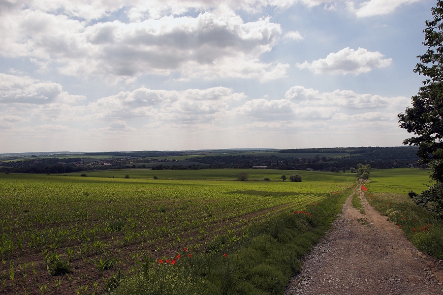 DSC_7598-01.jpg