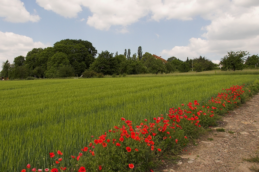 DSC_7602-01.jpg