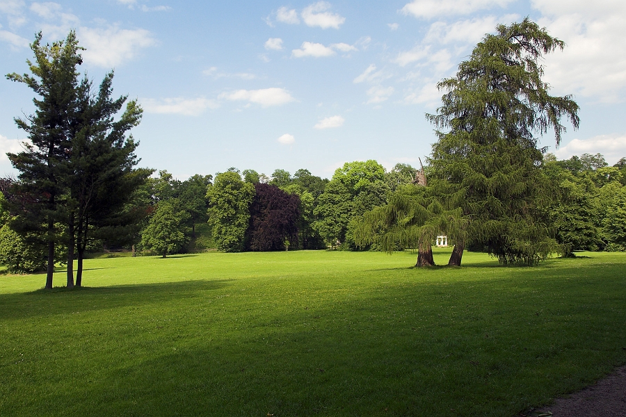 DSC_7650-01.jpg