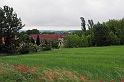 DSC_7388-01