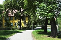 DSC_7491-01