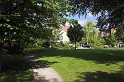 DSC_7597-01