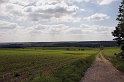 DSC_7598-01