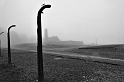 buchenwald