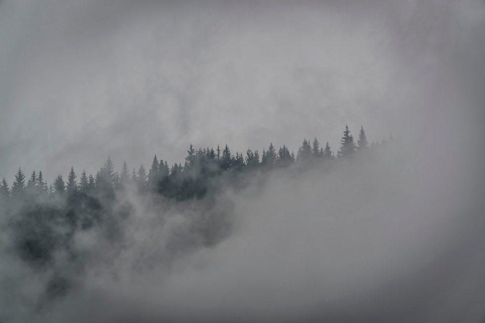 DSC_3553.jpg