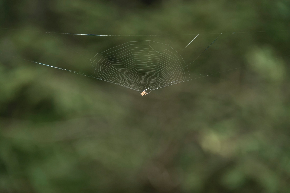 DSC_3888.jpg