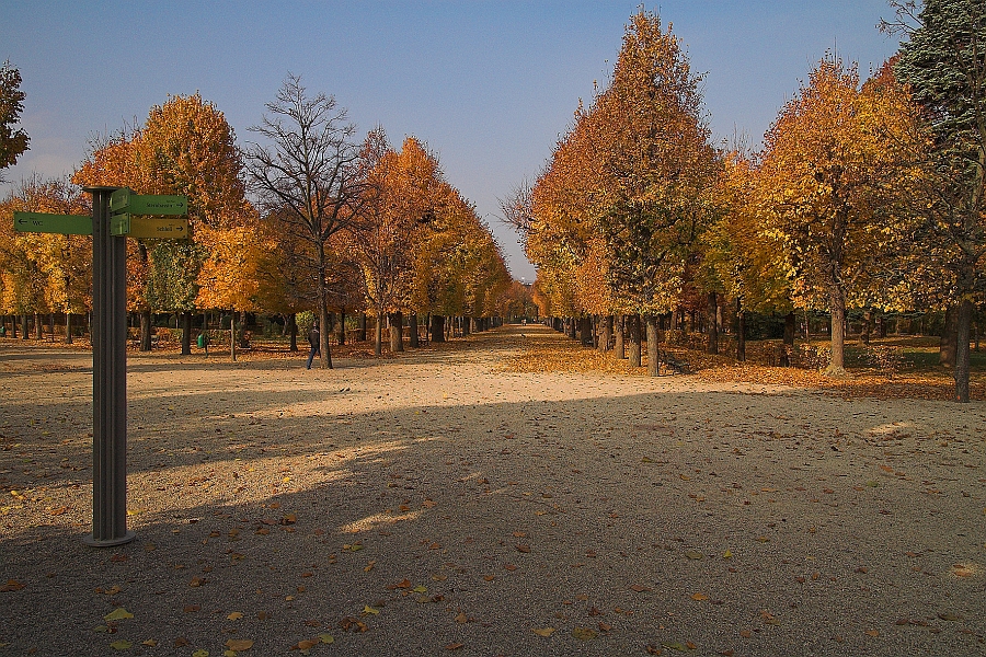 DSC_6906-01.jpg