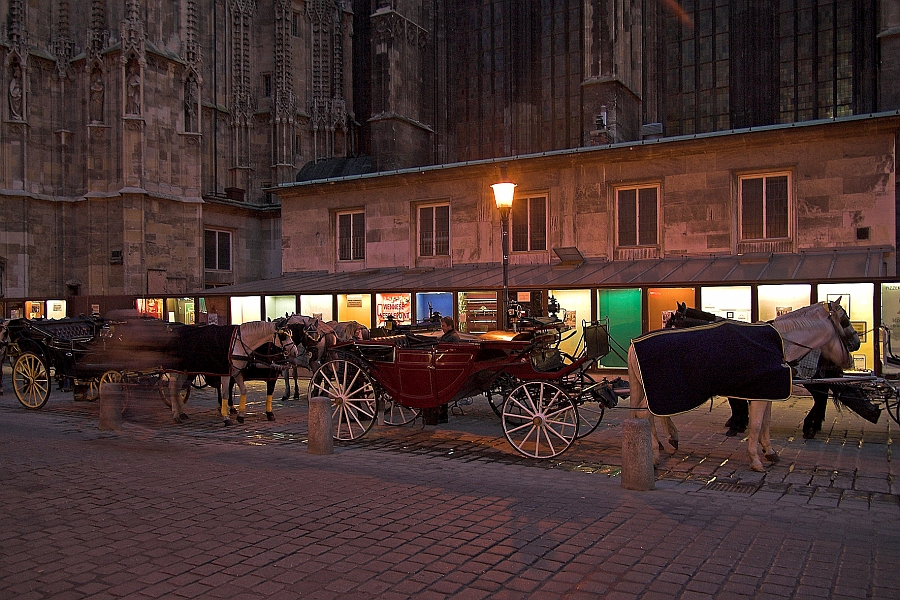 DSC_7004-01.jpg