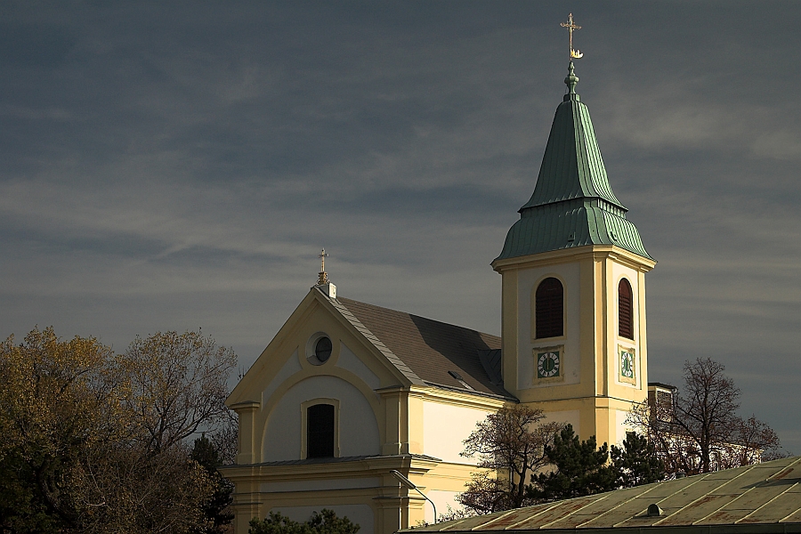 DSC_7334-01.jpg
