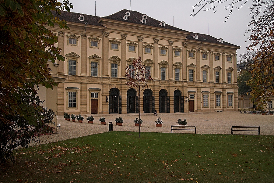 DSC_7515-01.jpg