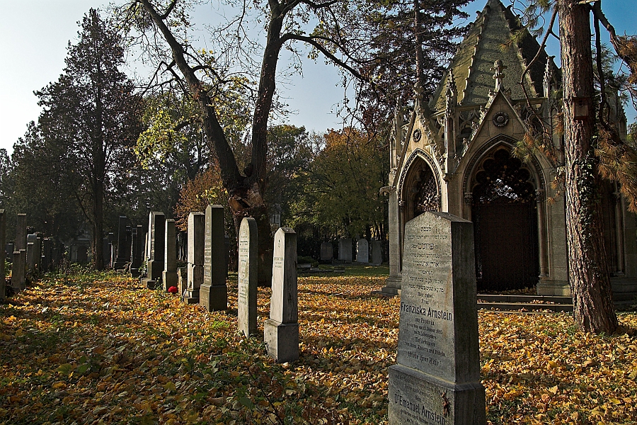 DSC_7161-01.jpg