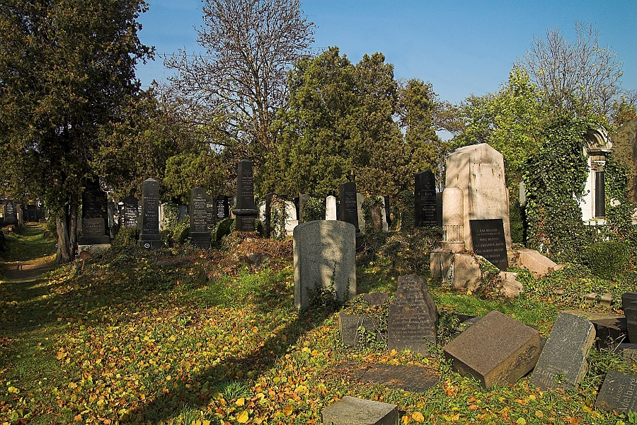 DSC_7173-01.jpg
