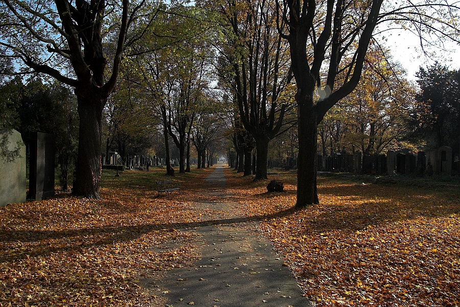 DSC_7178-01.jpg