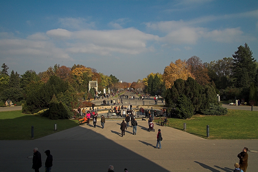 DSC_7203-01.jpg