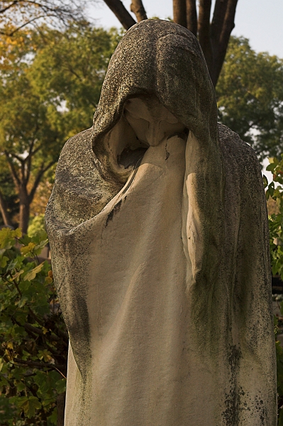 DSC_7241-01.jpg