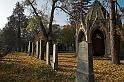 DSC_7161-01