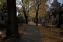 DSC_7166-01