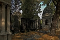 DSC_7172-01