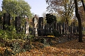DSC_7194-01