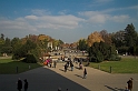 DSC_7203-01
