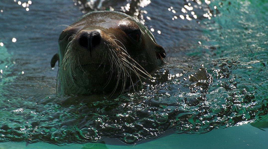 DSC_4776-01.jpg
