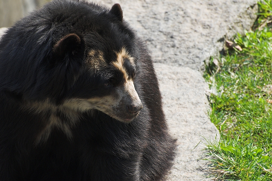 DSC_5155-01.jpg
